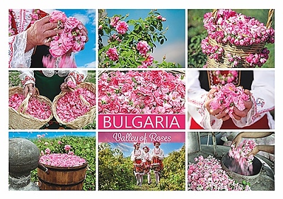 Картичка България Долината на розите 